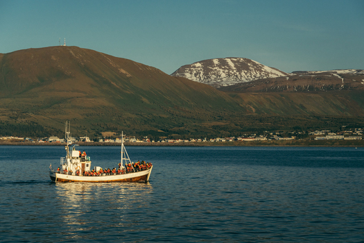 View of a boat brimming with passengers glides across the tranquil water set against a backdrop of majestic mountains and a serene town H&uacute;sav&iacute;k Iceland.