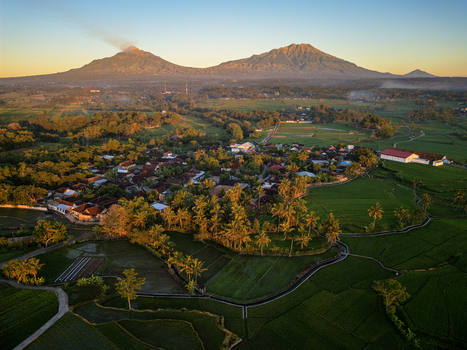 Aerial view of Kener village surrounded by lush green rice paddies and palm trees with a smoking volcano in the background during golden hour in Kaliwungu Central Java Indonesia.