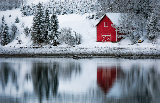 View of a traditional red wooden cabin on a snowy shoreline reflected in calm water with snow covered pine trees Sommaroy Troms Norway. View of a traditional red wooden cabin on a snowy shoreline reflected in calm water with snow covered pine trees Sommaroy Troms Norway.