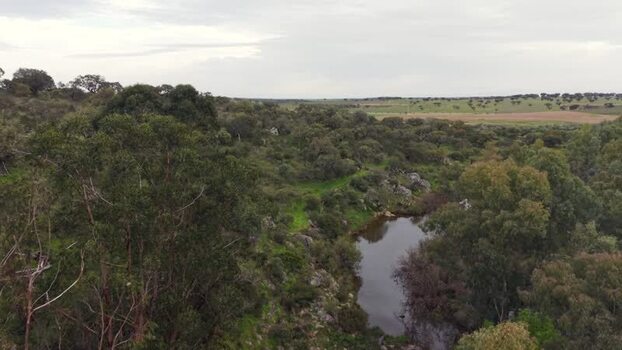Aerial view of a small river flowing through lush green forests in Portugal. Aerial view of a small river flowing through lush green forests in Portugal.