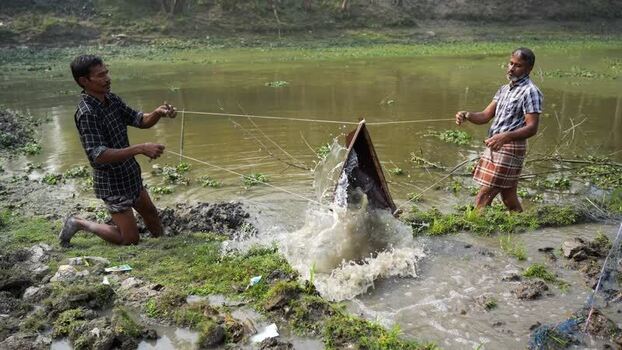 View of fishermen using traditional nets in Bogura Bangladesh. View of fishermen using traditional nets in Bogura Bangladesh.