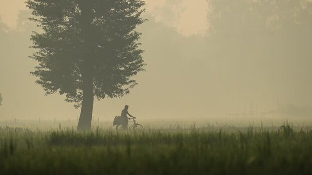 View of a man on a bicycle in a misty field Bangladesh. View of a man on a bicycle in a misty field Bangladesh.