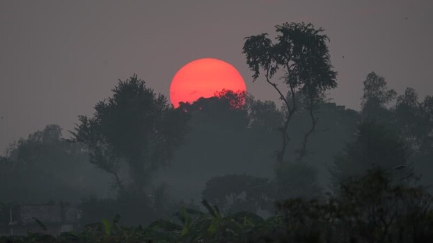 View of a large red sun setting behind silhouetted trees Bangladesh. View of a large red sun setting behind silhouetted trees Bangladesh.