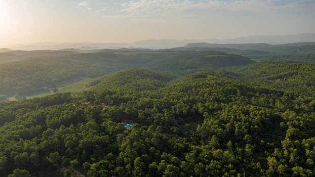 Aerial view of the lush forested hills of Provence at golden hour featuring dense woodland and a small swimming pool nestled in the landscape Provence Alpes Cote d Azur France.
