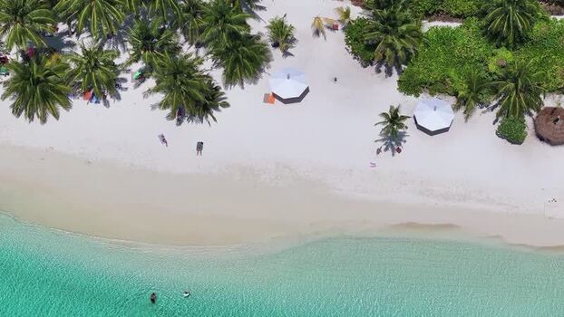Aerial view of people on a tropical beach with palm trees Maldives. Aerial view of people on a tropical beach with palm trees Maldives.