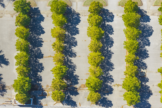 Aerial view of a parking lot with rows of green trees casting long shadows on the asphalt surface in Arezzo Tuscany Italy. Aerial view of a parking lot with rows of green trees casting long shadows on the asphalt surface in Arezzo Tuscany Italy.