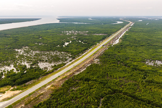 Aerial view of a long straight road cutting through a dense green mangrove forest and wetlands with a river flowing alongside in Opobo Town Rivers Nigeria. Aerial view of a long straight road cutting through a dense green mangrove forest and wetlands with a river flowing alongside in Opobo Town Rivers Nigeria.