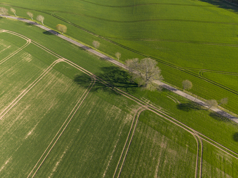 Aerial view of a narrow road lined with trees casting long shadows over lush green agricultural fields in Meikleour Scotland United Kingdom. Aerial view of a narrow road lined with trees casting long shadows over lush green agricultural fields in Meikleour Scotland United Kingdom.