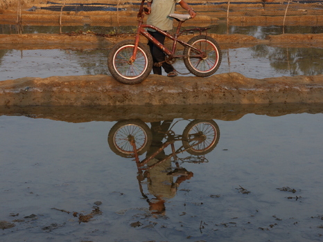 Cox s Bazar Chittagong Division Bangladesh 19 July 2026 View of a young person with a bicycle standing on a muddy path in a Rohingya refugee camp with a clear reflection in the water.