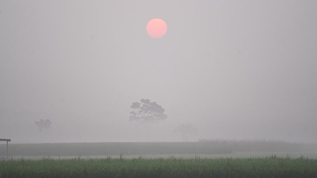 View of a red sun rising over misty fields in Bangladesh.