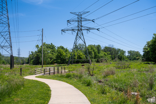View of Greentree Park featuring a paved walking path high voltage power lines and lush green trees under a clear blue sky Kirkwood Missouri United States. View of Greentree Park featuring a paved walking path high voltage power lines and lush green trees under a clear blue sky Kirkwood Missouri United States.
