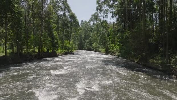 Aerial view of river flowing through trees Kenya.