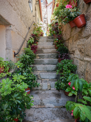 View of a stone staircase in the historic village of Combarro lined with numerous potted plants and flowers along rustic stone walls in Combarro Pontevedra Spain.