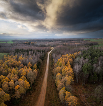 Aerial view of the Forest of Zemgale with a dirt road winding through autumn trees under a dramatic cloudy sky in Bauska Rundale Latvia.