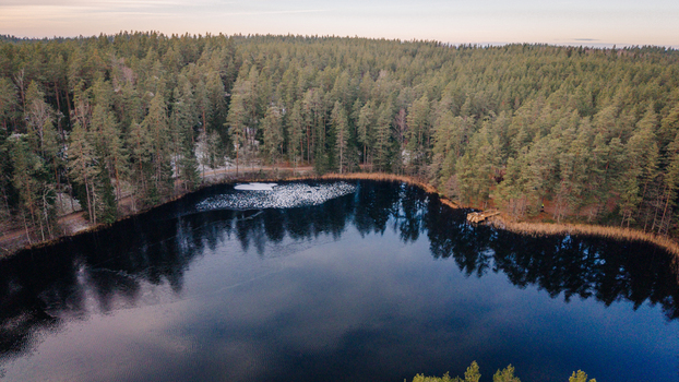 Aerial view of a pristine forest lake with calm dark water reflecting the sky surrounded by a dense evergreen pine forest in Smiltene Smiltene Municipality Latvia.
