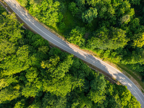 Aerial view of a winding asphalt road cutting through a dense green forest with lush trees and shadows in Kadyny Warmian Masurian Voiv Poland. Aerial view of a winding asphalt road cutting through a dense green forest with lush trees and shadows in Kadyny Warmian Masurian Voiv Poland.
