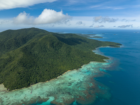 Aerial view of the lush green island meeting the turquoise sea with coral reefs along the coast Turtle Conservation Karimunjawa Central Java Indonesia.