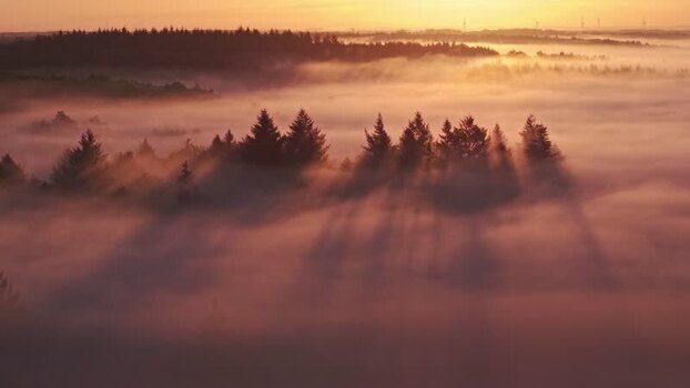 Aerial view of misty forest at sunrise Germany.