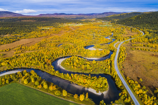 Aerial view of the winding Ljusnan river flowing through a vibrant autumn forest with golden trees and a nearby road in Bruksvallarna Jamtland County Sweden. Aerial view of the winding Ljusnan river flowing through a vibrant autumn forest with golden trees and a nearby road in Bruksvallarna Jamtland County Sweden.