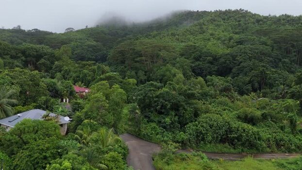 Aerial view of lush tropical landscape on Mahe Seychelles.