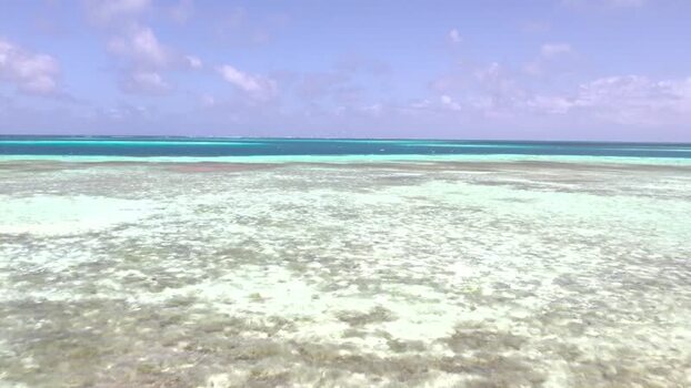Aerial view of Los Roques archipelago in Venezuela.