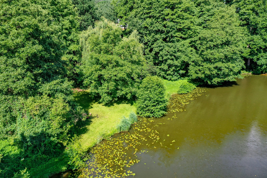 Aerial view of the Regnitzaltwasser with lush green trees water lilies on the water surface and a grassy shoreline in Forchheim Bayern Germany. Aerial view of the Regnitzaltwasser with lush green trees water lilies on the water surface and a grassy shoreline in Forchheim Bayern Germany.