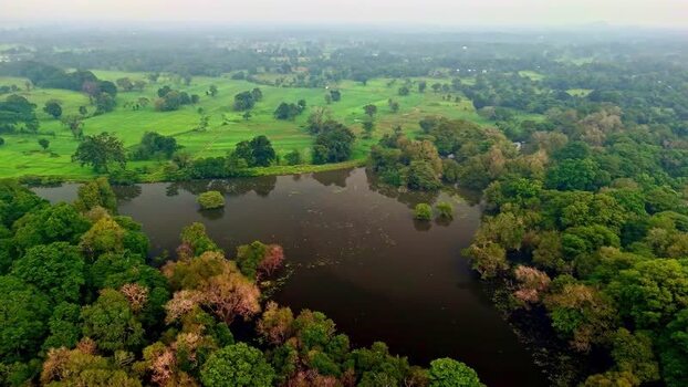 Aerial view of lush green landscape and reservoir in Sri Lanka.