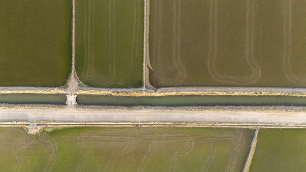 Aerial view of geometric rice fields with irrigation canals and tractor tracks at Isla Minima Coria del Rio Andalusia Spain. Aerial view of geometric rice fields with irrigation canals and tractor tracks at Isla Minima Coria del Rio Andalusia Spain.