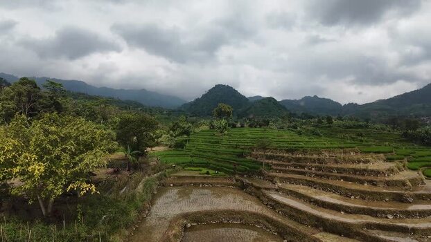 Aerial view of lush green rice terraces and misty hills Indonesia.