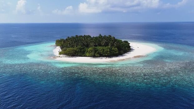 Aerial view of a tropical island with palm trees in Maldives. Aerial view of a tropical island with palm trees in Maldives.