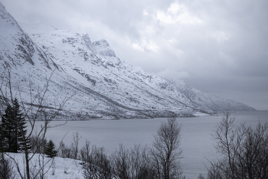 View of snow covered mountain peaks rising above a calm fjord under a cloudy winter sky with bare trees in the foreground Kvaloya Troms Norway. View of snow covered mountain peaks rising above a calm fjord under a cloudy winter sky with bare trees in the foreground Kvaloya Troms Norway.