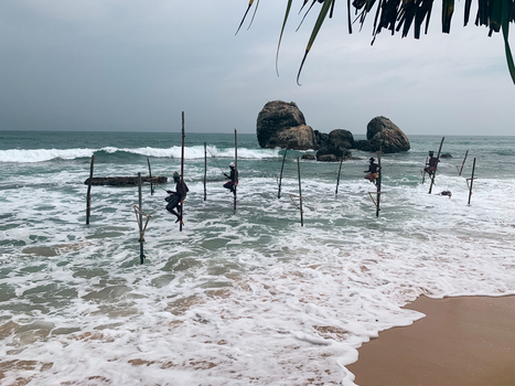 Sri Lanka 25 April 2024 View of traditional stilt fishermen perched on wooden poles in the ocean with crashing waves and large rocks in the background.