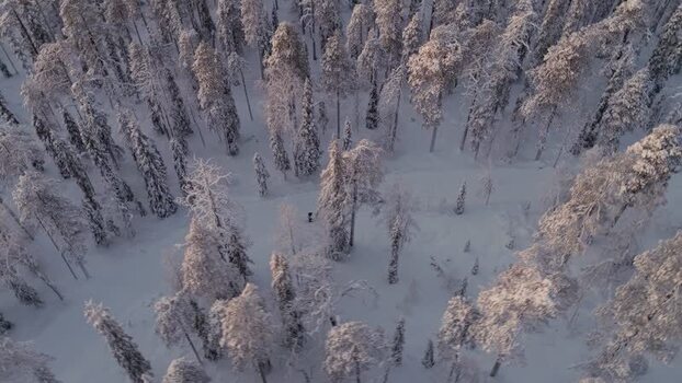 Aerial view of snow covered forest in Luosto Finland.