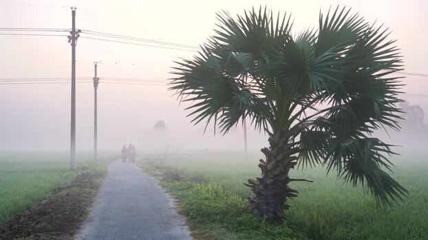 View of people walking on a rural road through misty fields Bangladesh.