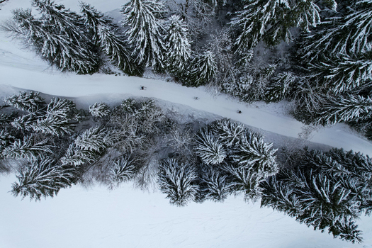 Aerial view of a snowy trail winding through a dense pine forest with people skiing in Grand Paradis Champery Valais Switzerland. Aerial view of a snowy trail winding through a dense pine forest with people skiing in Grand Paradis Champery Valais Switzerland.