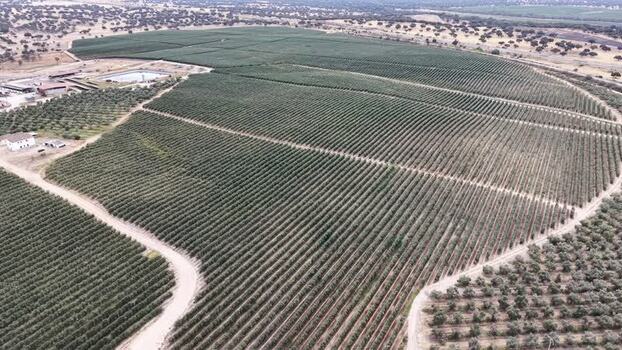 Aerial view of agricultural fields in Talayuela Spain. Aerial view of agricultural fields in Talayuela Spain.