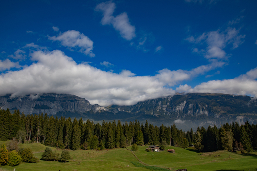 View of the Swiss Alps mountain range rising above a lush green meadow dense pine forest and small wooden huts under a blue sky with clouds in Airolo Ticino Switzerland. View of the Swiss Alps mountain range rising above a lush green meadow dense pine forest and small wooden huts under a blue sky with clouds in Airolo Ticino Switzerland.