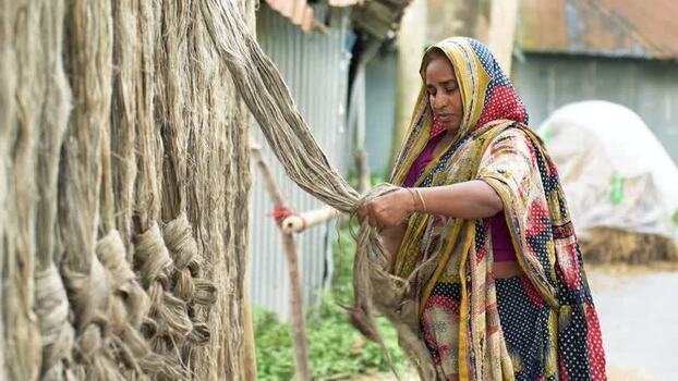 View of a woman processing raw jute fibers in a village Bangladesh.