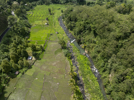 Aerial view of lush green rice terraces bordering a winding river and dense tropical forest in the landscape of Flores East Nusa Tenggara Indonesia. Aerial view of lush green rice terraces bordering a winding river and dense tropical forest in the landscape of Flores East Nusa Tenggara Indonesia.
