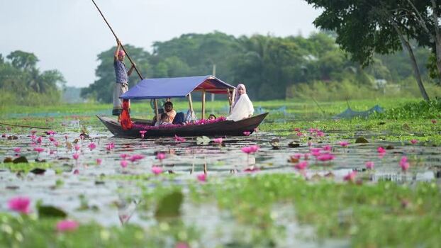 View of a boat on a lily pond in Barishal Bangladesh. View of a boat on a lily pond in Barishal Bangladesh.
