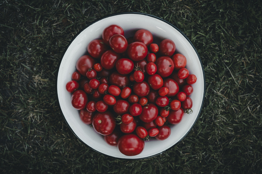 View of a bowl filled with fresh red tomatoes resting on green grass in Vormsi Laane County Estonia.