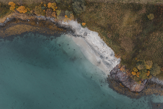 Aerial view of the coastline of Lofoten featuring a sandy beach turquoise water rocky outcrops and autumn colored trees along the shore in Svolvaer Nordland Norway.