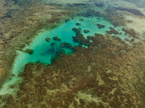 Aerial view of vibrant turquoise waters meet the rugged dark coral reefs in a stunning display of nature s artistry Goro South Province New Caledonia. Aerial view of vibrant turquoise waters meet the rugged dark coral reefs in a stunning display of nature s artistry Goro South Province New Caledonia.
