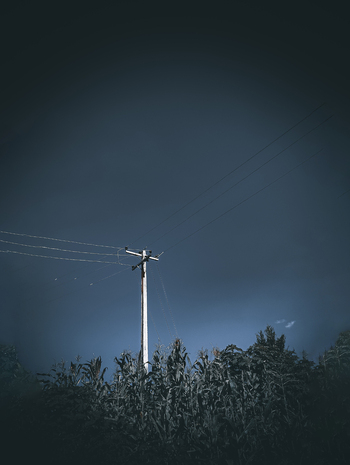View of a utility pole with power lines stretching across a dark moody sky above a field of corn stalks in Jos North Plateau Nigeria.