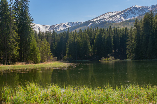 View of Vrbicke pleso lake surrounded by a dense coniferous forest and snow capped mountain peaks of the Low Tatras in Demanovska Dolina Zilina Region Slovakia. View of Vrbicke pleso lake surrounded by a dense coniferous forest and snow capped mountain peaks of the Low Tatras in Demanovska Dolina Zilina Region Slovakia.