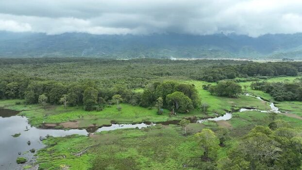 Aerial view of Rawa Bento wetlands in Gunung Tujuh Indonesia. Aerial view of Rawa Bento wetlands in Gunung Tujuh Indonesia.