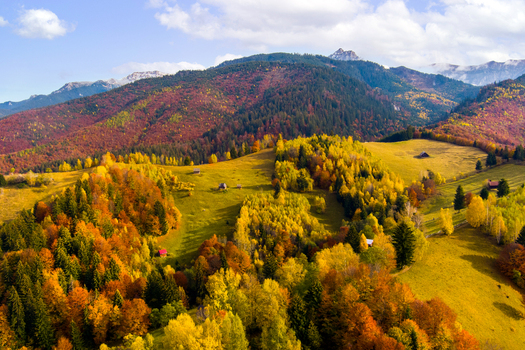 Aerial view of the vibrant autumn landscape in the Carpathian Mountains featuring colorful forests rolling meadows and traditional wooden cabins near Bran Brasov Romania. Aerial view of the vibrant autumn landscape in the Carpathian Mountains featuring colorful forests rolling meadows and traditional wooden cabins near Bran Brasov Romania.