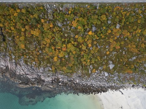 Aerial view of the rocky coastline and white sand of Rorvikstranda beach with autumn foliage and turquoise water in Henningsvaer Nordland Norway.