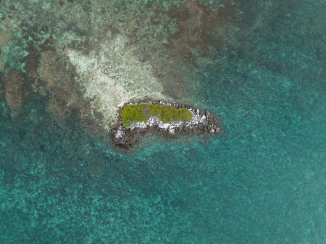 Aerial view of Camar Rock Island a tiny island surrounded by turquoise water Jepara Regency Indonesia.