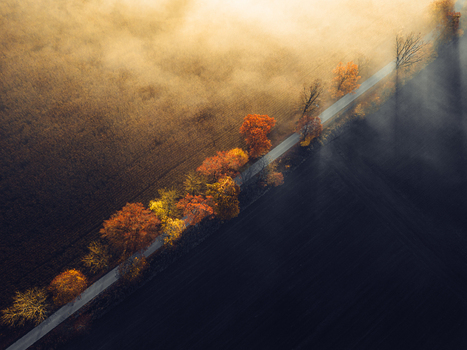 Aerial view of a narrow road lined with colorful autumn trees cutting through fields covered in thick morning fog during sunrise in Kowale Oleckie Warmian Masurian Voiv Poland.
